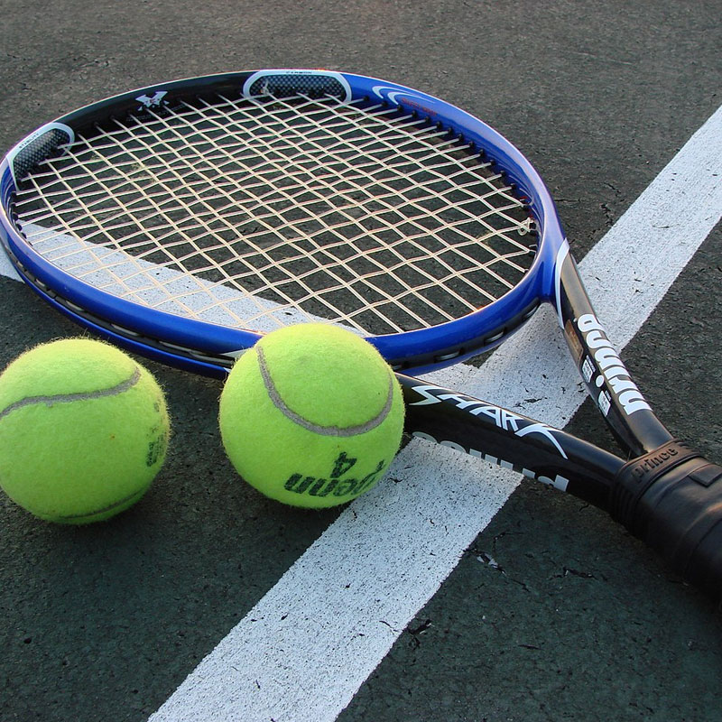 Professional Sports