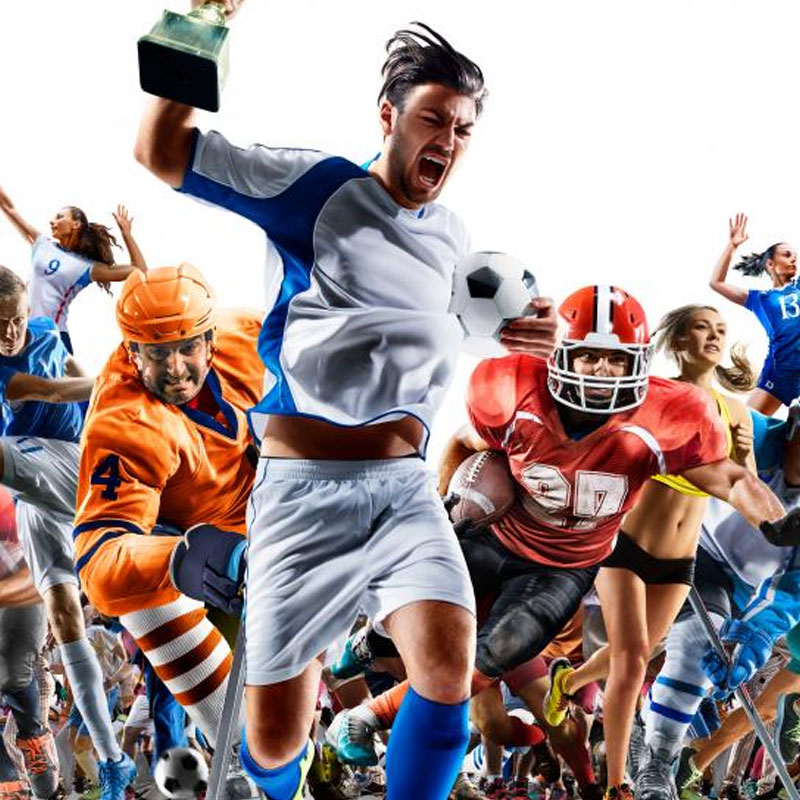 Sports Lagues